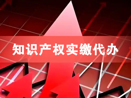 滕州知识产权实缴资本代办
